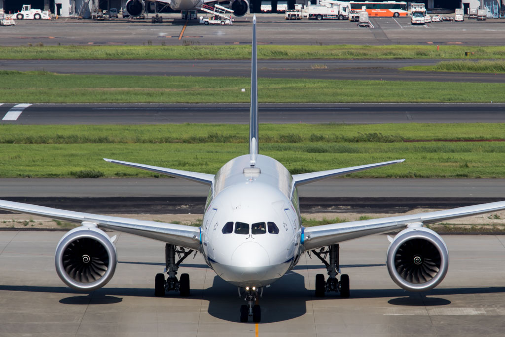 ANA 787