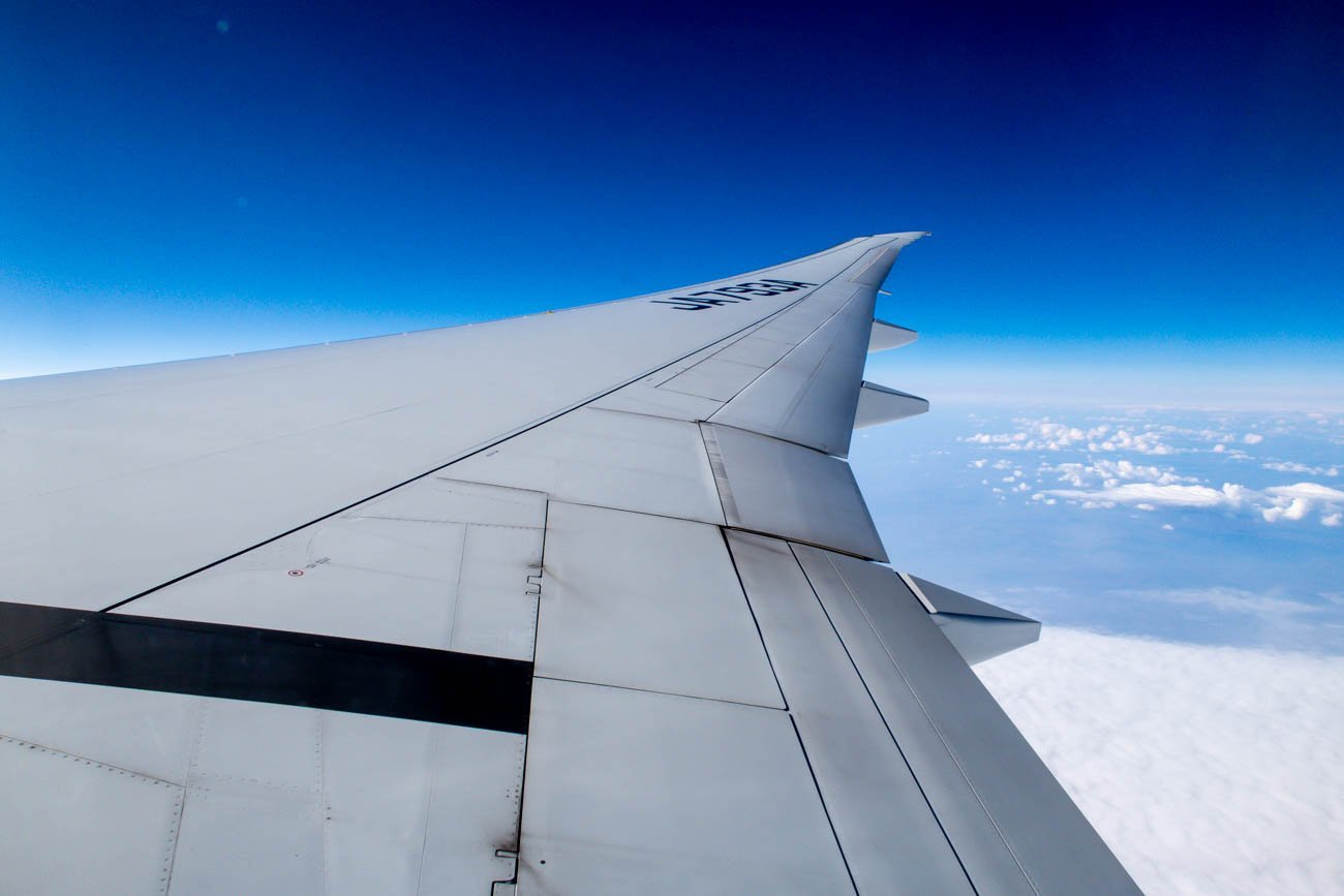 ANA 777-300ER Wing View