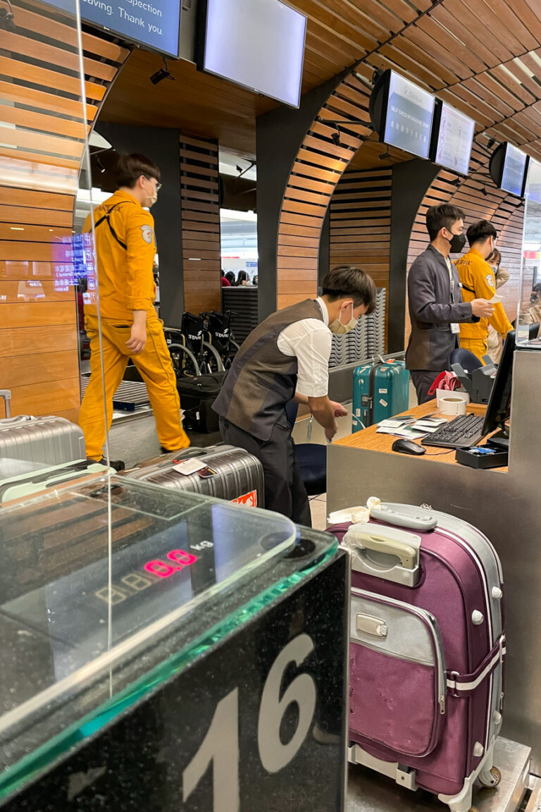 Review: Starlux A330neo Economy Class from Taipei to Tokyo Narita - KN ...
